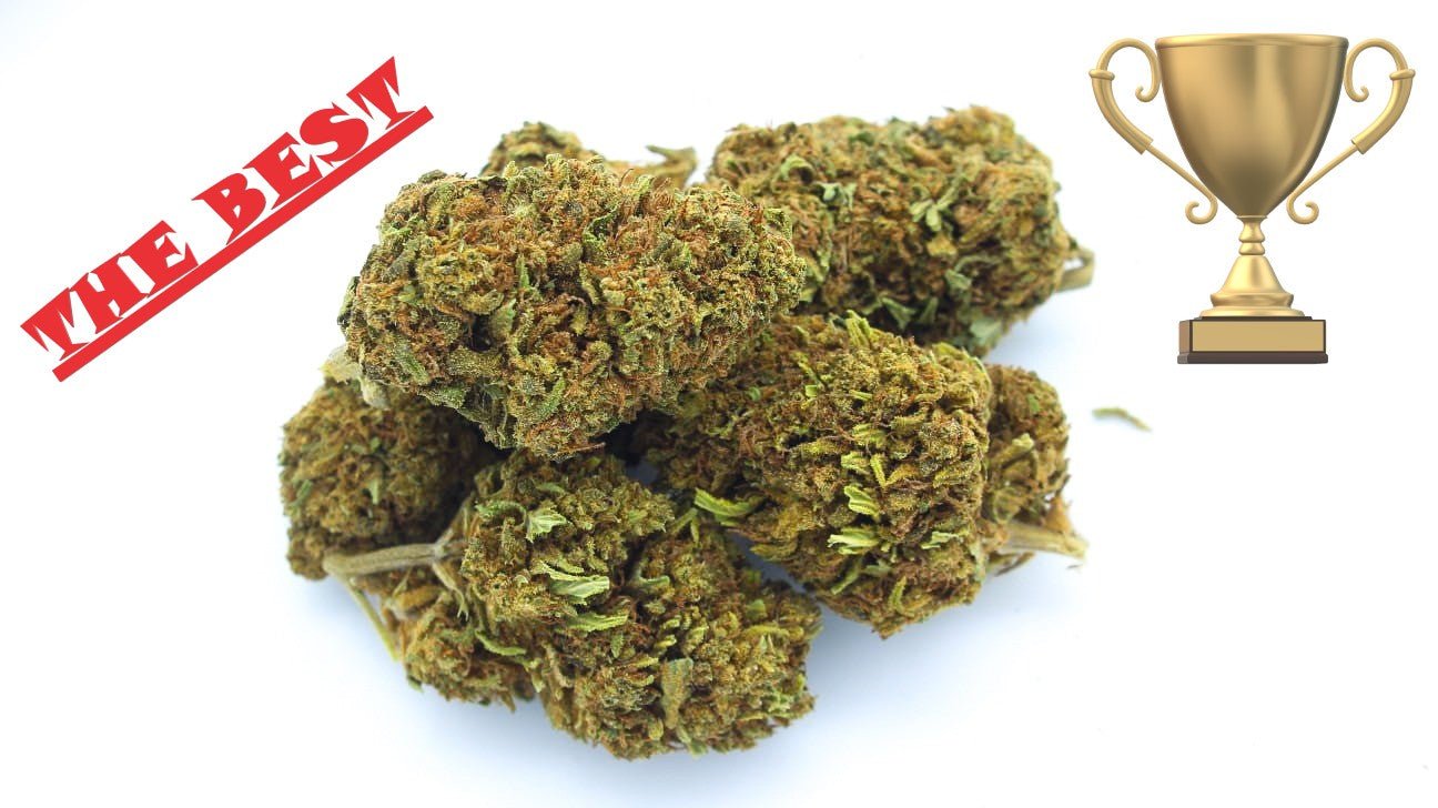 #product_cbd# - #shop_cbd##erba_cbd##thc#